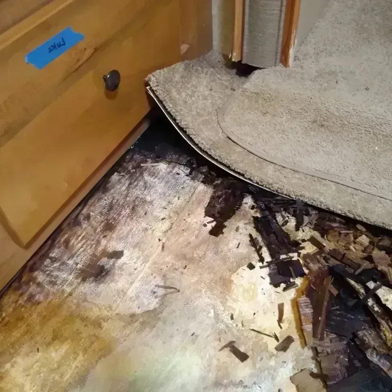 Best Wood Floor Water Damage Service in Broomfield County, CO